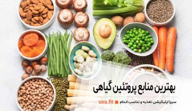 بهترین منابع پروتئین گیاهی