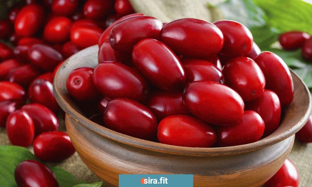 زغال اخته