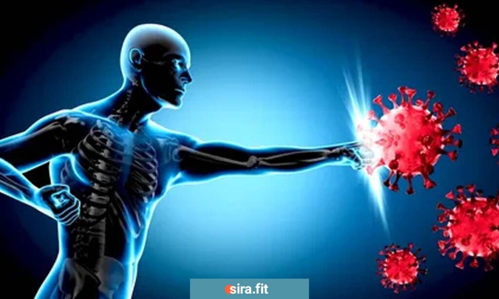 تقویت سیستم ایمنی